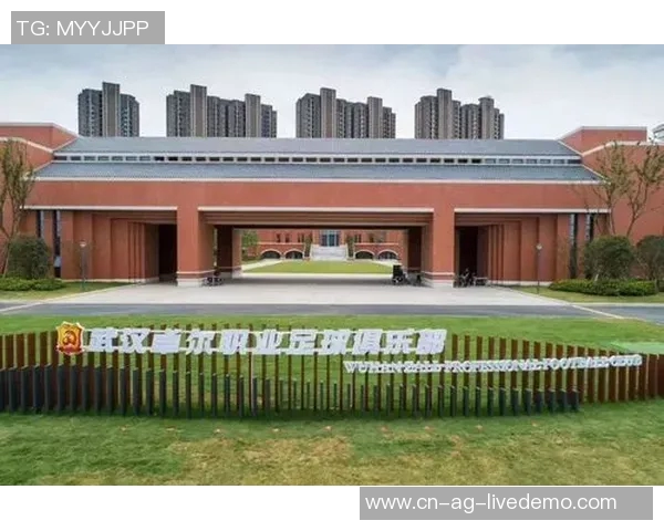 武汉卓尔职业足球俱乐部奋勇争先打造足球强队新篇章