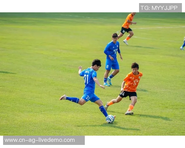 花样足球视频带你领略精彩瞬间与技巧展示的完美结合