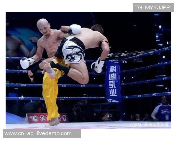 一龙与内山政人巅峰对决谁能问鼎武道之巅引发拳迷热议